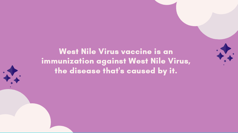 west nile virus rash