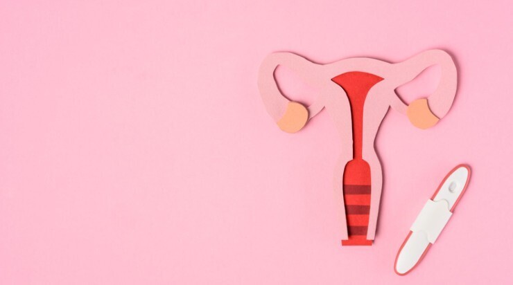 Cervical Screening Test