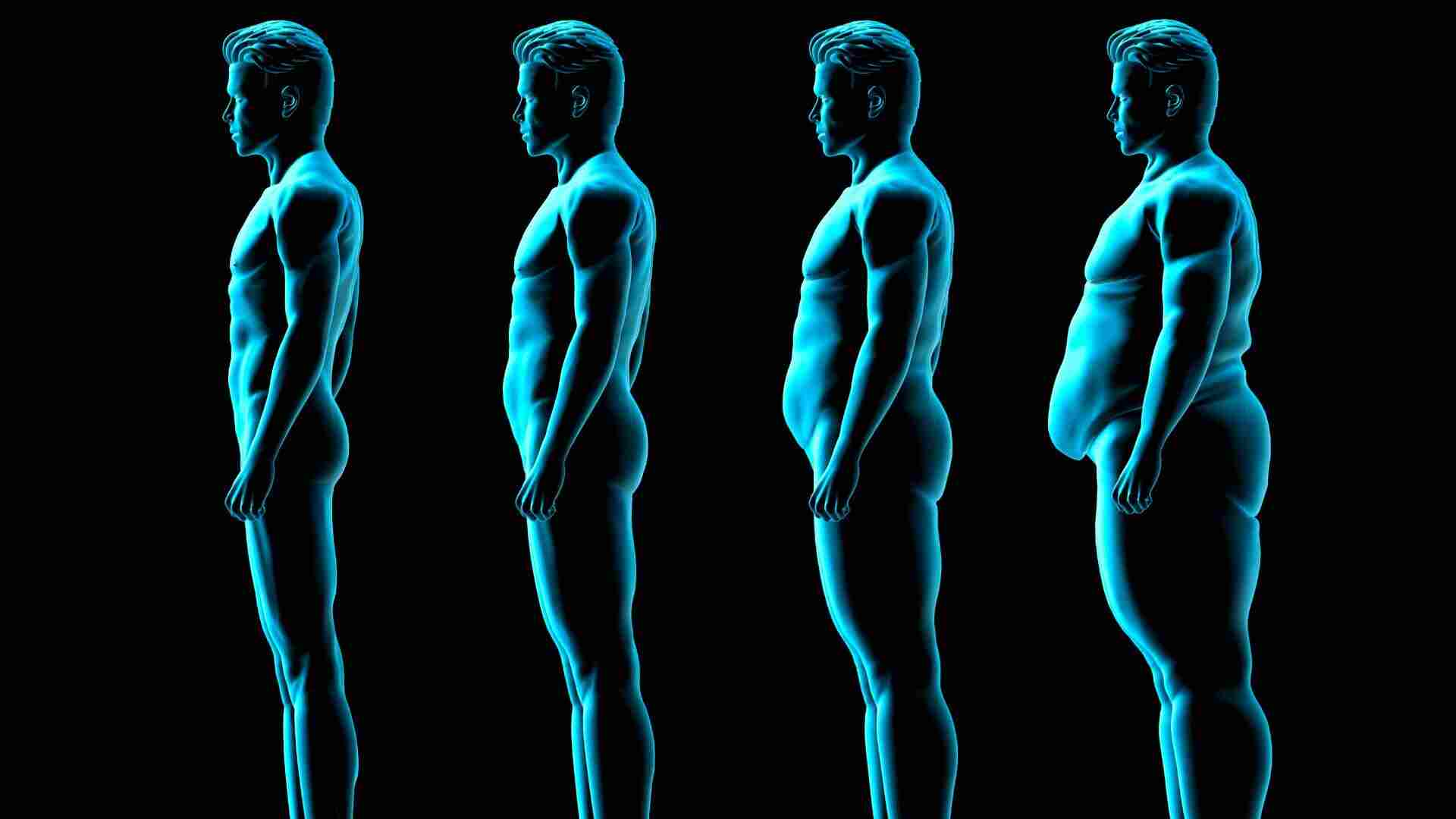 Endomorph Definition What is Endomorph Body Type? - International Health 24