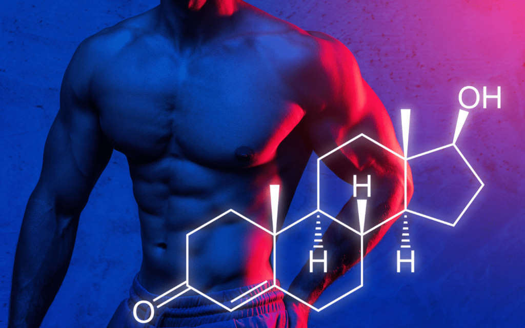 Testosterone Booster for Bodybuilding