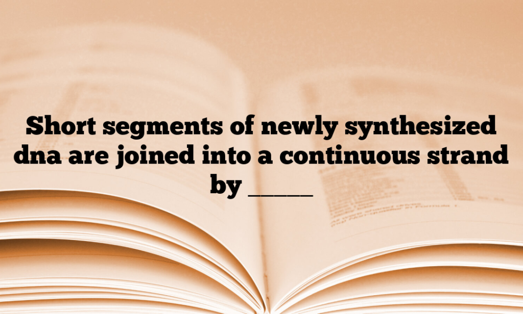 Short segments of newly synthesized dna are joined into a continuous strand by _____