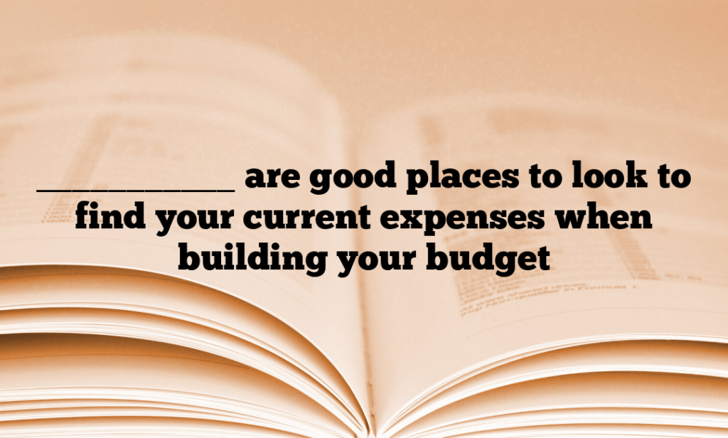 ___________ are good places to look to find your current expenses when building your budget