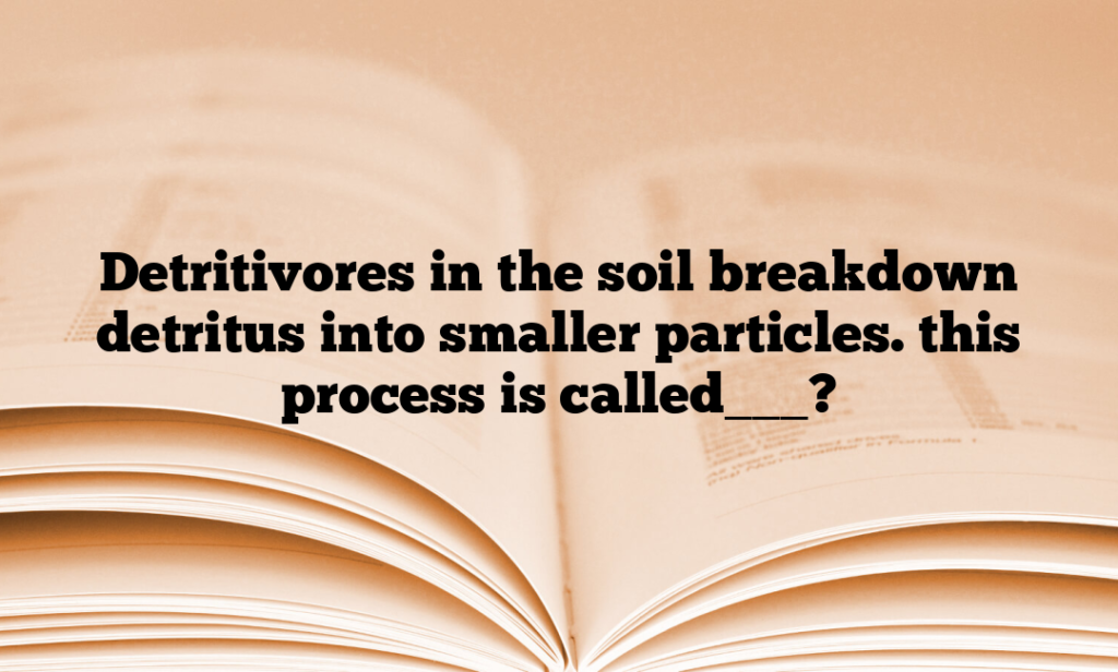 Detritivores in the soil breakdown detritus into smaller particles. this process is called___?