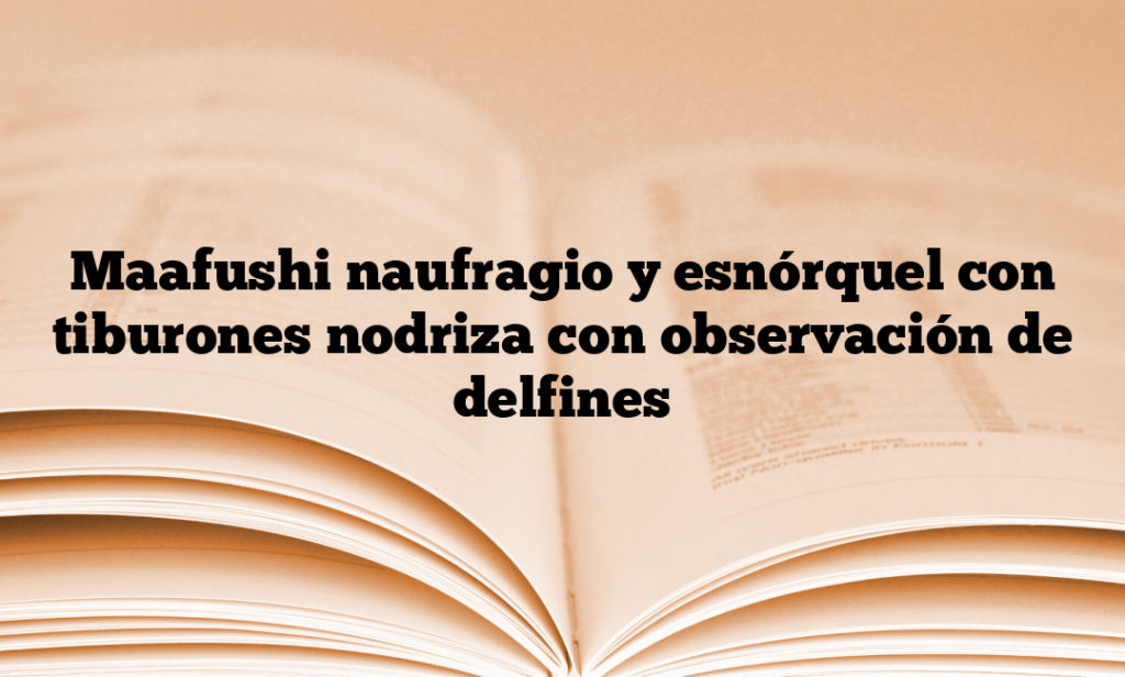Maafushi naufragio y esnórquel con tiburones nodriza con observación de delfines