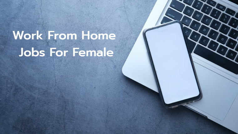 Work From Home Jobs For Female