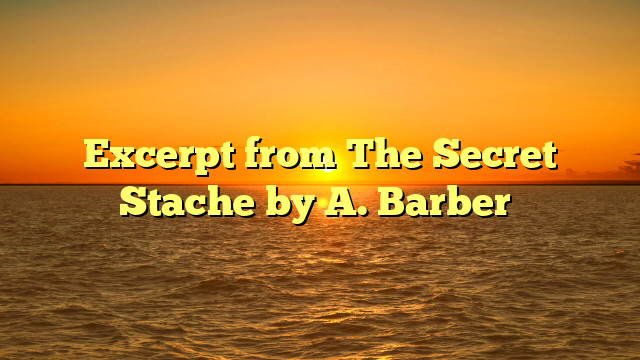 Excerpt from The Secret Stache by A. Barber​