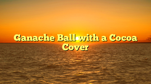 Ganache Ball with a Cocoa Cover