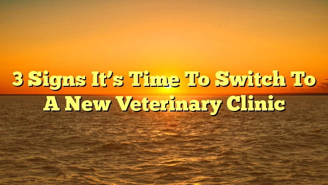 3 Signs It’s Time To Switch To A New Veterinary Clinic