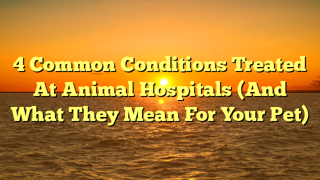 4 Common Conditions Treated At Animal Hospitals (And What They Mean For Your Pet)