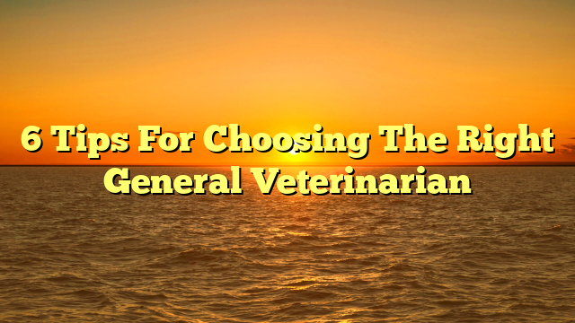 6 Tips For Choosing The Right General Veterinarian