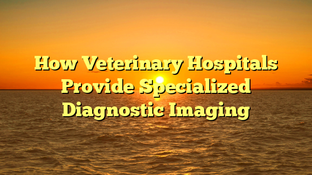How Veterinary Hospitals Provide Specialized Diagnostic Imaging