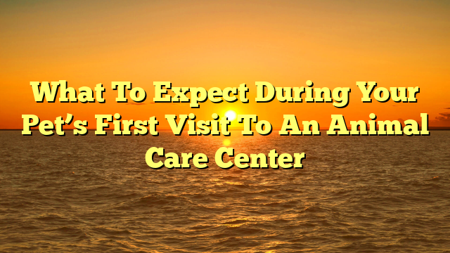 What To Expect During Your Pet’s First Visit To An Animal Care Center
