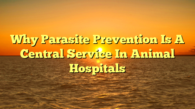 Why Parasite Prevention Is A Central Service In Animal Hospitals