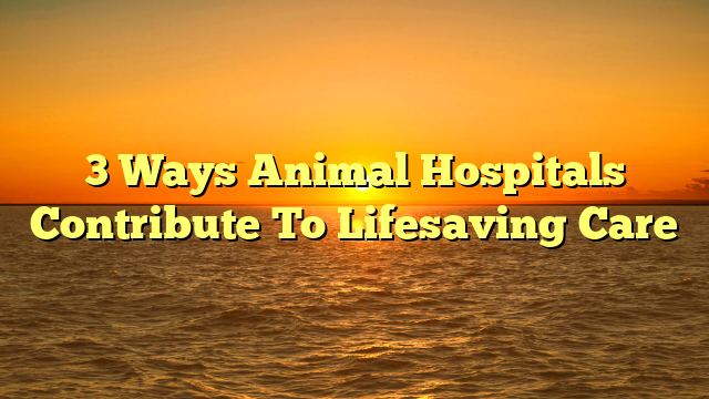 3 Ways Animal Hospitals Contribute To Lifesaving Care
