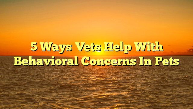 5 Ways Vets Help With Behavioral Concerns In Pets