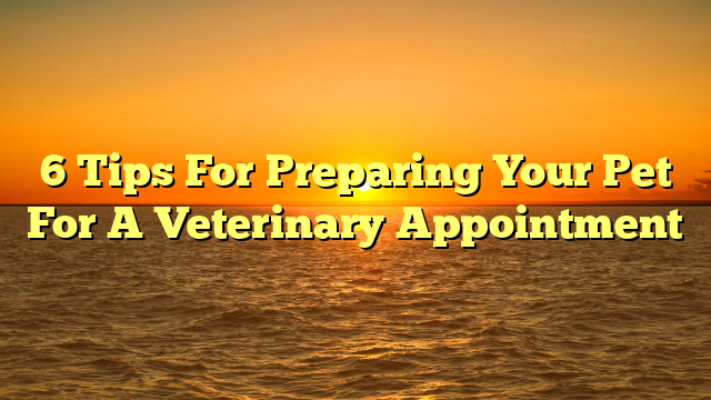6 Tips For Preparing Your Pet For A Veterinary Appointment