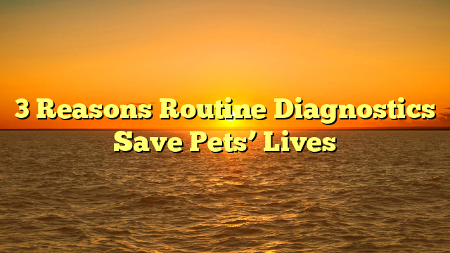 3 Reasons Routine Diagnostics Save Pets’ Lives