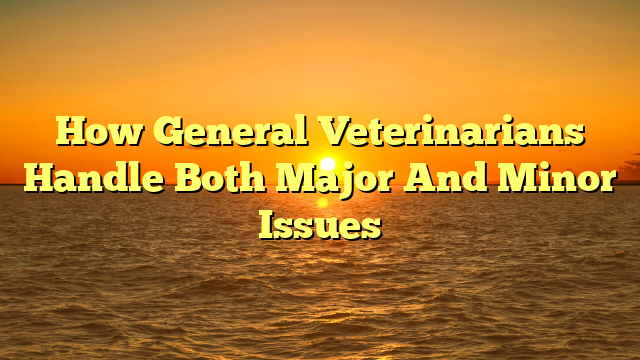 How General Veterinarians Handle Both Major And Minor Issues
